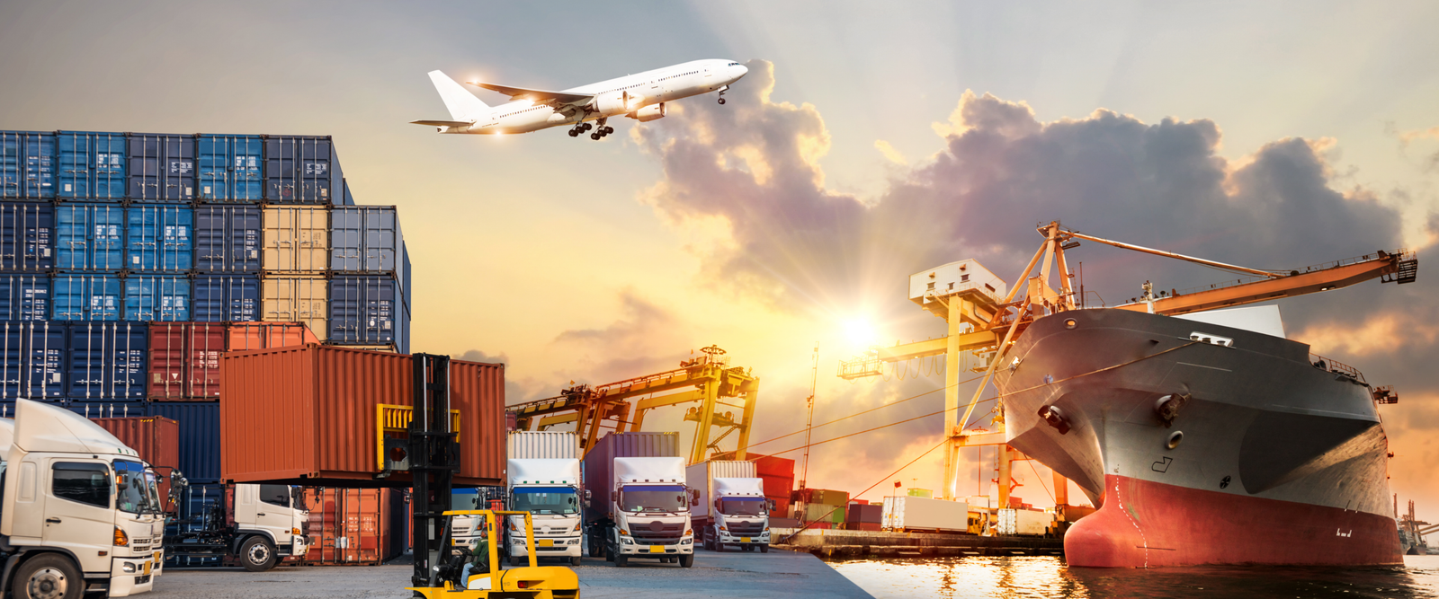 International Logistics